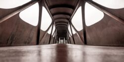 the bridge