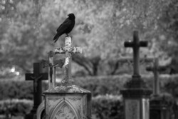 keeper of the graves