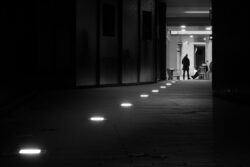 follow the lights