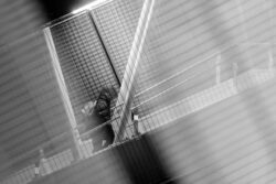through the lines