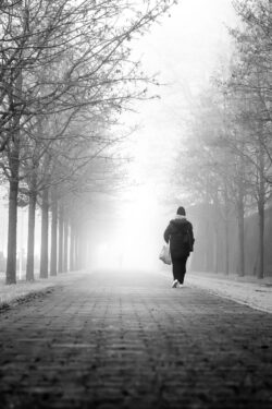 foggy walk