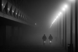 foggy morning