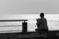 absorbed