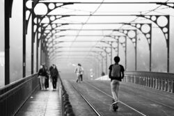 ponte dom luis I