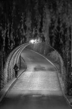 tunnel behind the willow