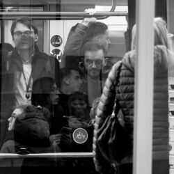 we'll see everything