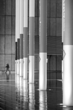 wet verticals